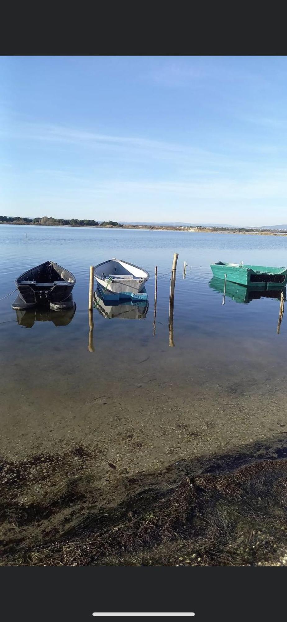 Studio Climatise Proche De Montpellier Et Des Plages วิลนูฟ เลส์ มากูโลน ภายนอก รูปภาพ